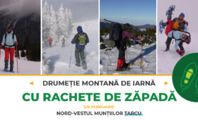 rachete de zăpadă