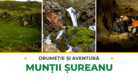 Drumeție în Fundatura Ponorului si Sipote site